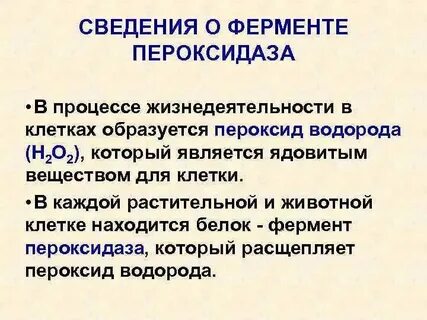 Все живые организмы содержат каталазу