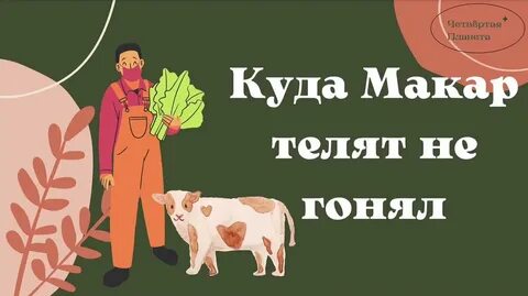 Телят гонял
