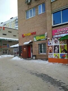 Суши фрязино