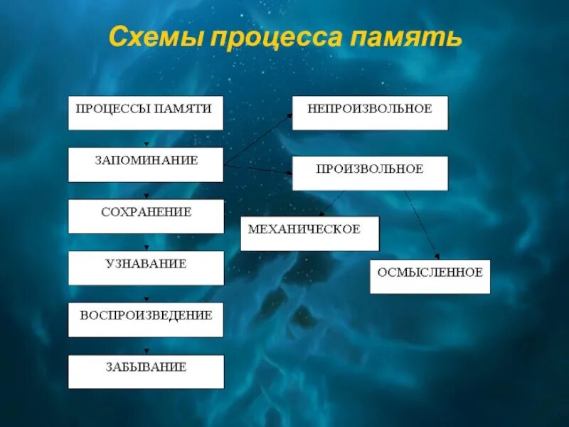 Запоминания сохранения воспроизведение забывания. Процессы памяти схема. Процессы памяти в психологии схема. Характеристика основных процессов памяти. Процесс запоминания схема.