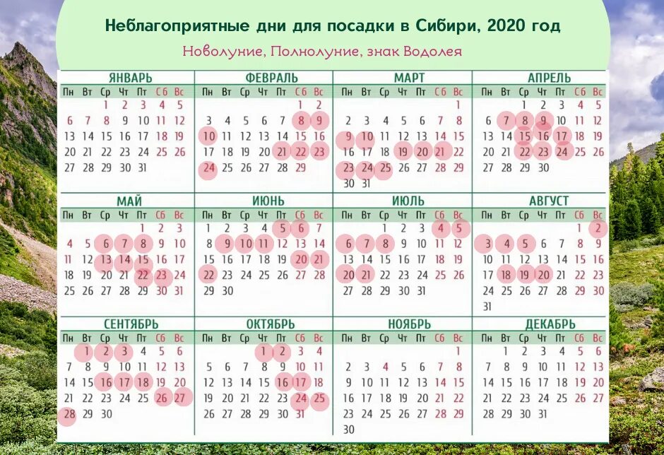 Благоприятные дни 2020 лунный календарь. Неблагоприятные дни для посадки. Календарь посадок. Календарь благоприятных дней для посева рассады. Календарь высадки рассады в Сибири.