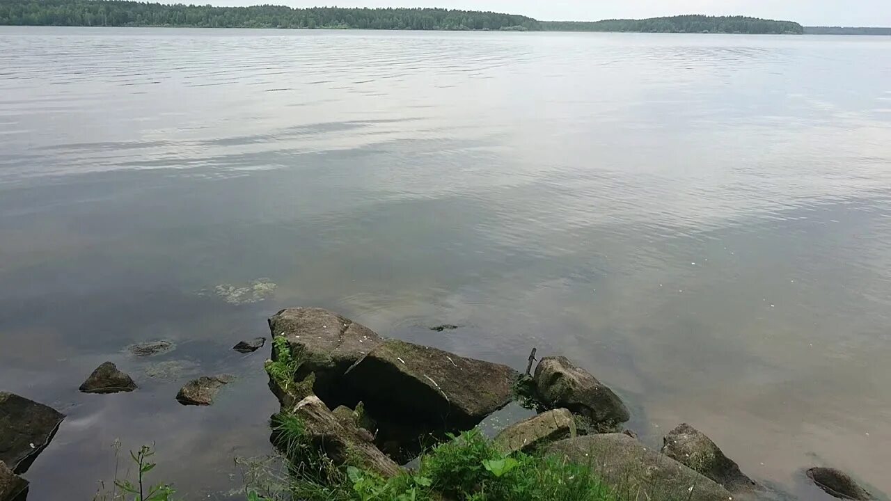 База белоярское водохранилище. Белоярское водохранилище. Заводь Черемшана Белоярское водохранилище. Косулинская заводь Белоярского водохранилища. Ржавчик Белоярское водохранилище.