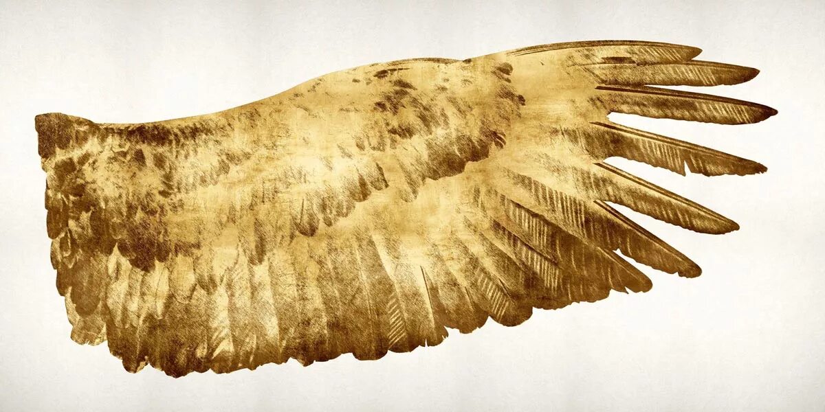Золотистые крылья. Картина крыло золото. Золотистый крило. Золотые ангельские Крылья.