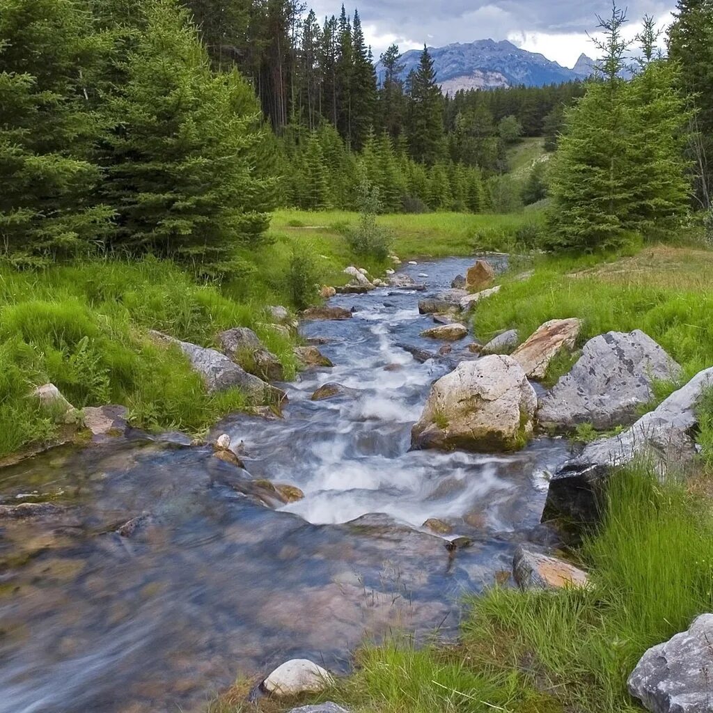 Ручей в овраге. Ручей фей вьетнам. Ручеек какой. Ручеек какой. Река в овраге ландшафтный.