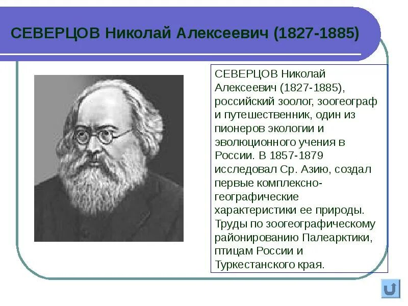 Н а северцев. Н а северцев