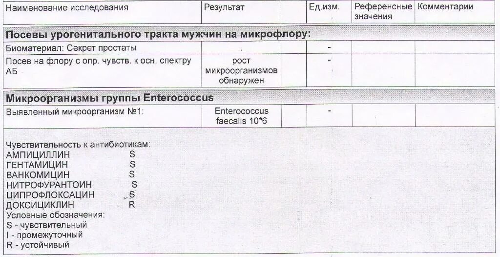 Как берут секрет у мужчин. Бак посев секрета простаты норма. Enterococcus faecalis 10^4 кое/мл. Бак посев простаты расшифровка. Enterococcus faecalis 10*3 кое/мл,.