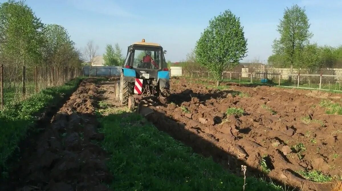 Равнение участка трактором МТЗ 82. МТЗ вспашка почвофрезой. Трактор для разравнивания участка. Выравнивание участка трактором. Вспахать сотку цена