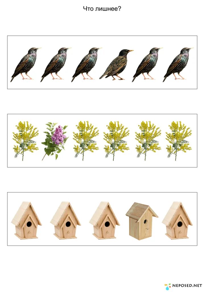 перелетные птицы задания для дошкольников. задания весенние птицы для дошкольников. задания про птиц для дош. графомоторика перелетные птицы для дошкольников. задания весенние птицы для дошкольников.