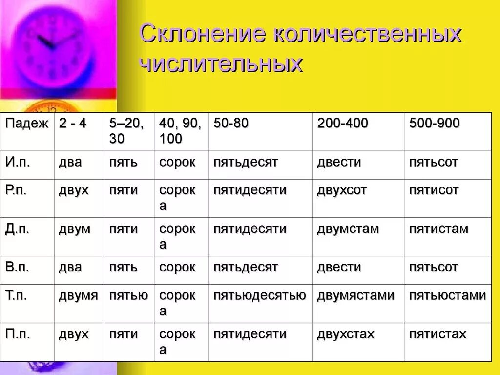 Число в русском языке 5 класс