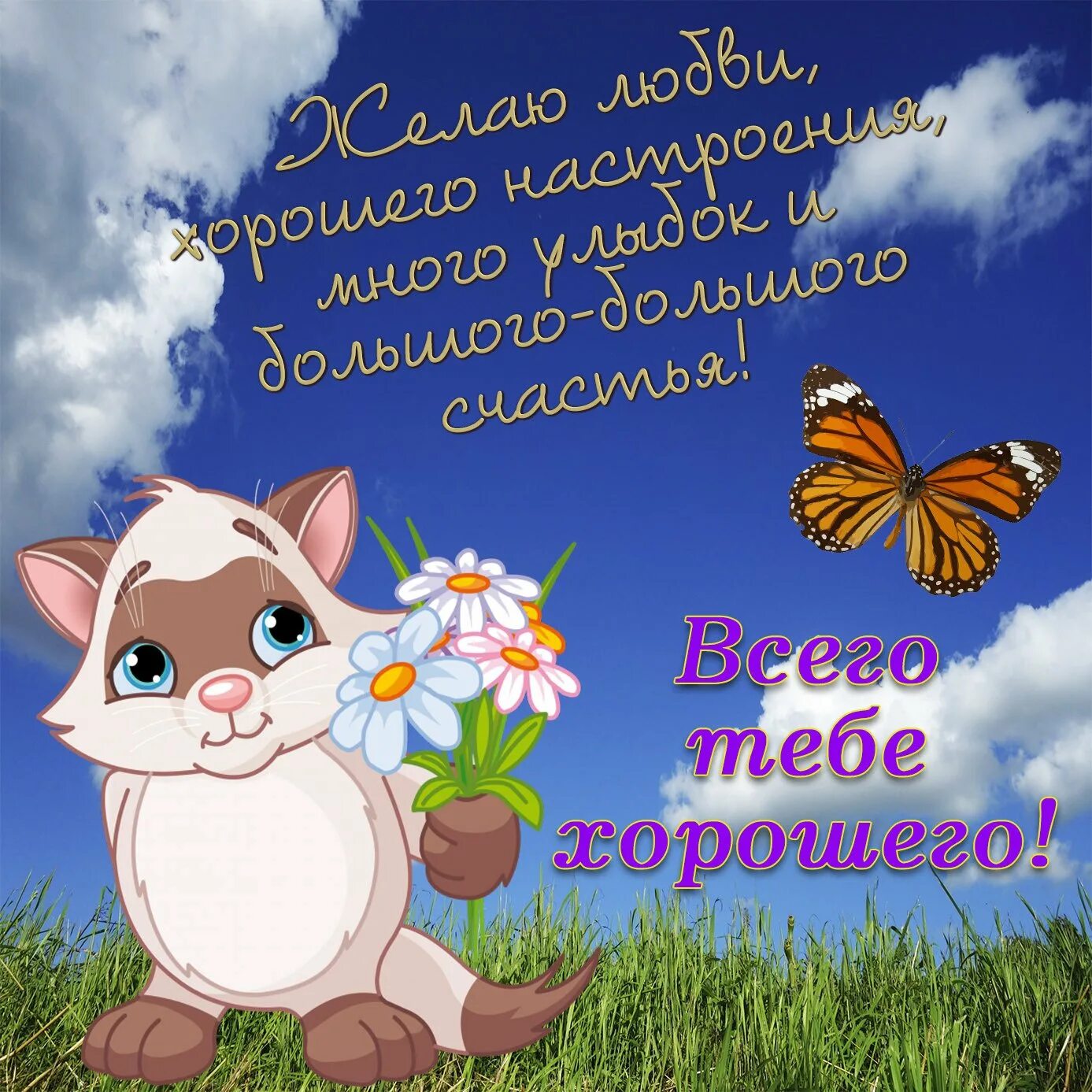 Поздравить через ватсап