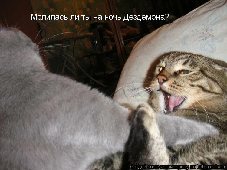 Спи моя радость усни прикол. Отелло молилась ли ты на ночь. Гальцев молилась ли ты на ночь. Гальцев молилась ли ты на ночь. Юрий гальцев лицедеи.