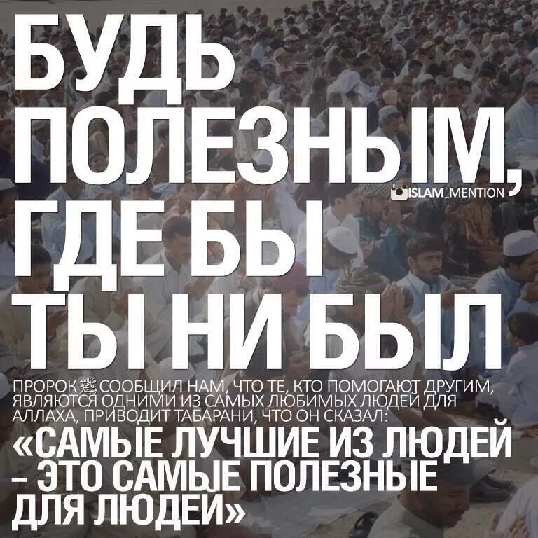 Высокомерие в исламе. Дружба в исламе хадис. лучшие хадисы. хадисы про людей. ислам религия хадисы.