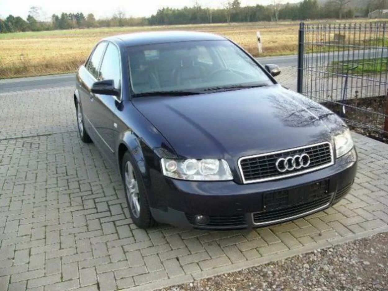 A6 1.9 tdi. Audi a4 1.9 TDI. Audi a4 2008 1.9 TDI. Ауди а4 1997 дизель. Audi a4 1.9 TDI 1998.