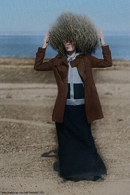 Семена перекати поле. Комок в пустыне. Сено в пустыне. Перекати-поле растение в степи. Красота пустынь.