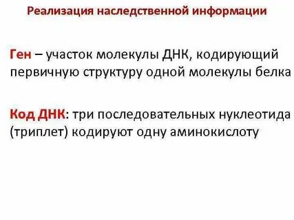 Реализация наследственной информации в признак