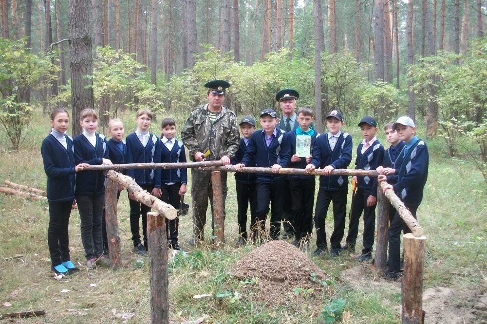 Сайт министерства лесного пензенской области. Сосновоборск Пензенская область лесхоз. Министерство лесного хозяйства Пензенской области. Сосновоборск Пензенская область лес. Департамент лесного хозяйства Ярославской области.