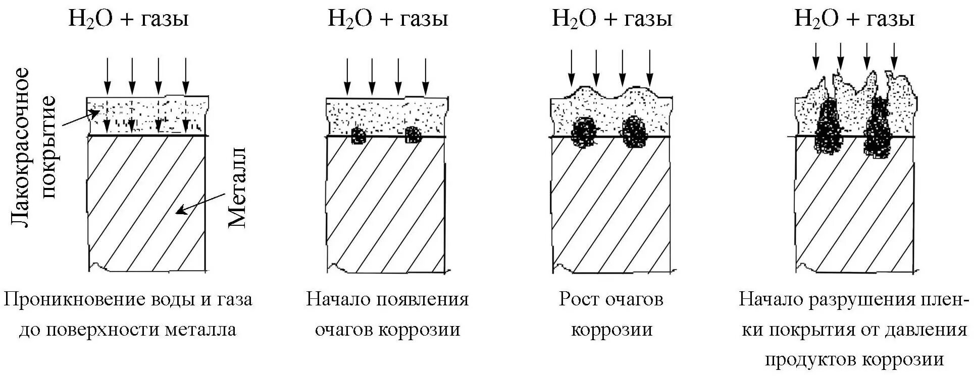 Схема коррозии. Схема коррозионного процесса. Коррозия бетона чертеж. Схема лакокрасочного покрытия металла. Газовая коррозия схема.