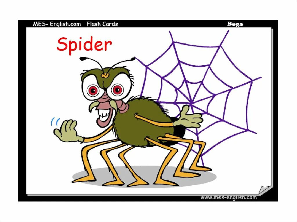 Как по английски будет паук. Spider карточка на английском. Spider Flashcards for Kids. Паук Flashcard. Паучок на английском.