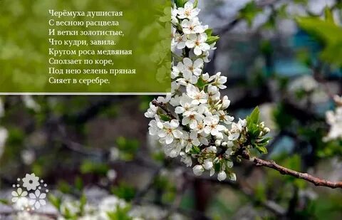 Весенние строки