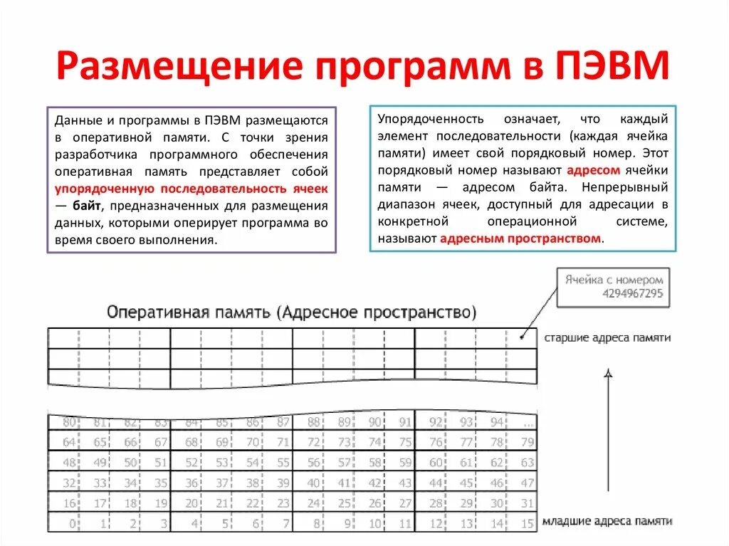 Размещение программы и данных в памяти. Адрес ячейки памяти. Ячейка оперативной памяти это. Программа для ПЭВМ.