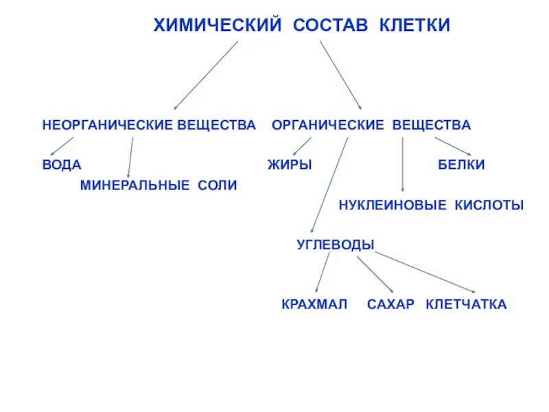 Неорганические живые клетки. Химический состав клетки - 5 класс вещества клетки.. Химический состав клетки органические вещества 5 класс. Химический состав клетки органические вещества таблица. Схема органические вещества клетки 10 класс.