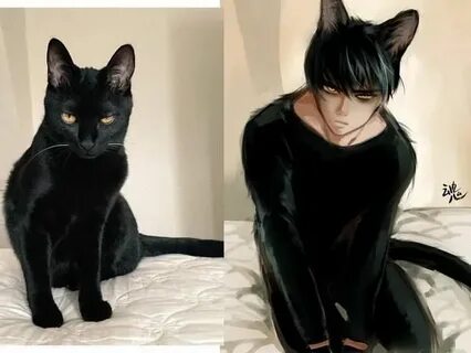 Кот превратился в человека