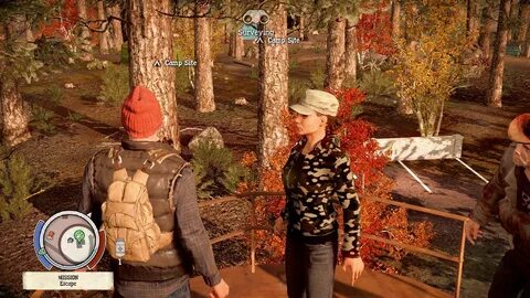 State of decay mods
