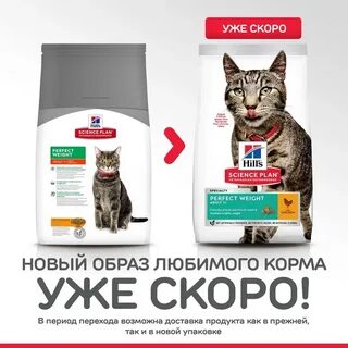 Корм для кошек science