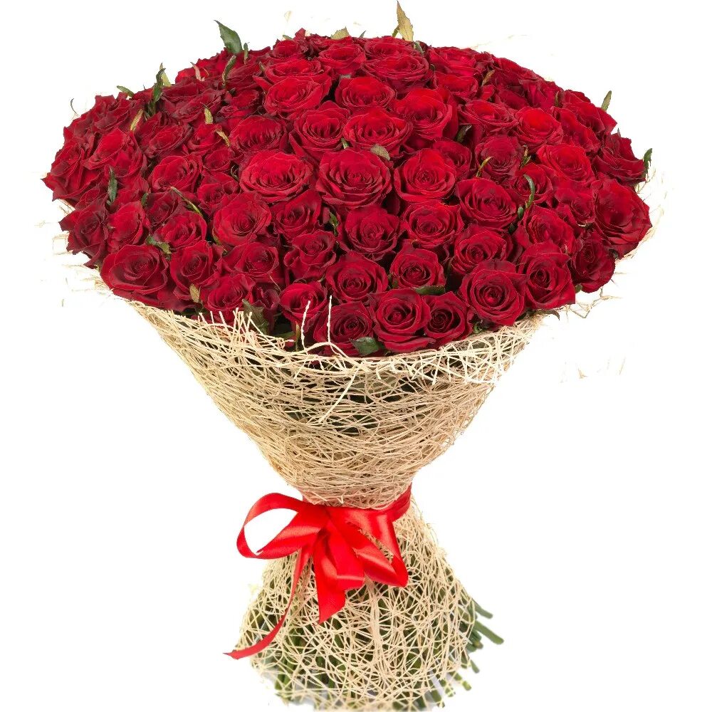 Букет из розы фридом. Большой свети. Букет алых роз 101. Самые большие букеты. Большой свети.