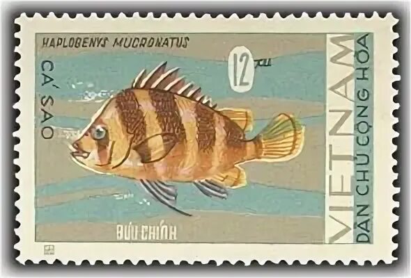 Рыбы 2 градуса