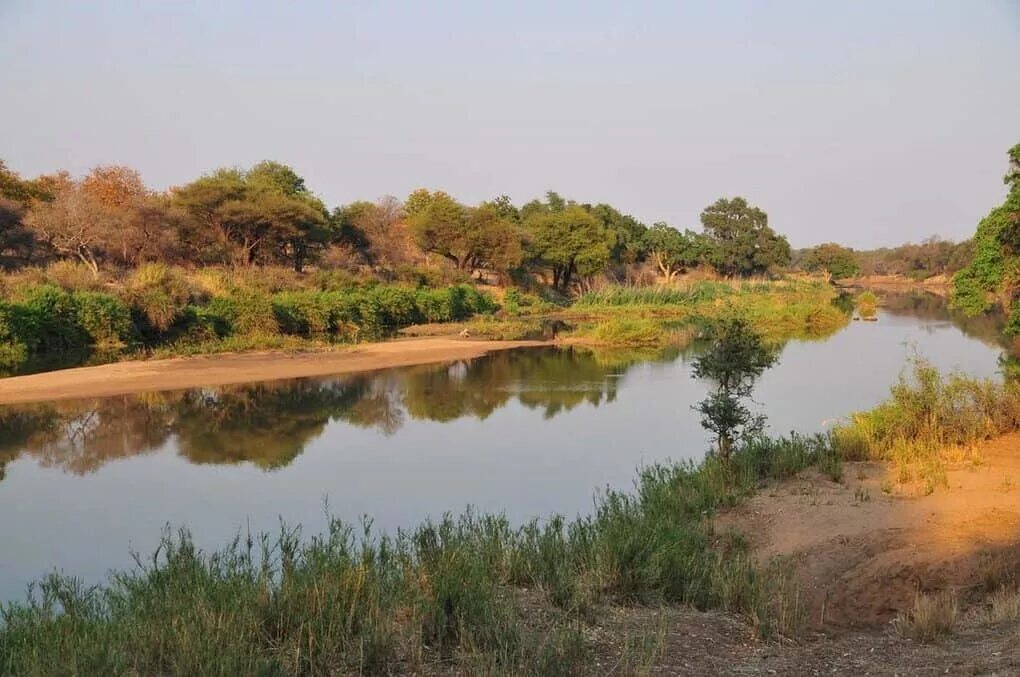 Река Лимпопо ЮАР. Лимпопо река в Африке. Озеро Лимпопо. Реки ЮАР. Africa river