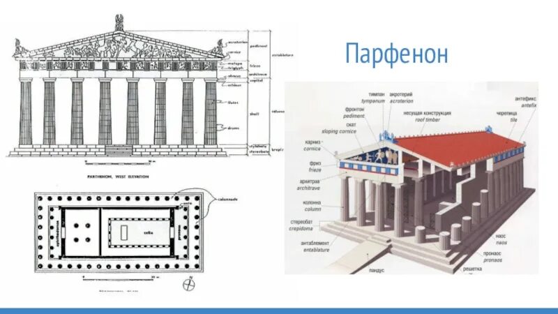 Где находится парфенон в каком городе. Парфенон акрополь реконструкция. храм парфенон в афинах реконструкция. ансамбль афинского акрополя парфенон. схема парфенона в афинах.