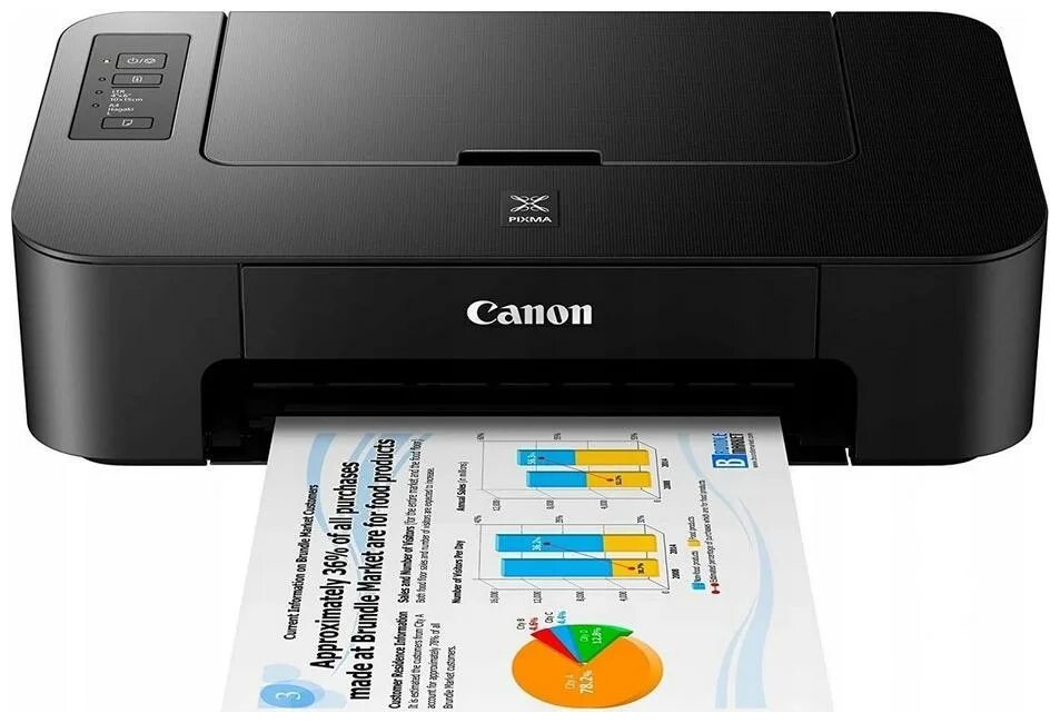 Принтер Canon PIXMA Pro-200. PIXMA ts204. Струйный принтер Canon PIXMA. Canon PIXMA 3010. Качество струйной печати