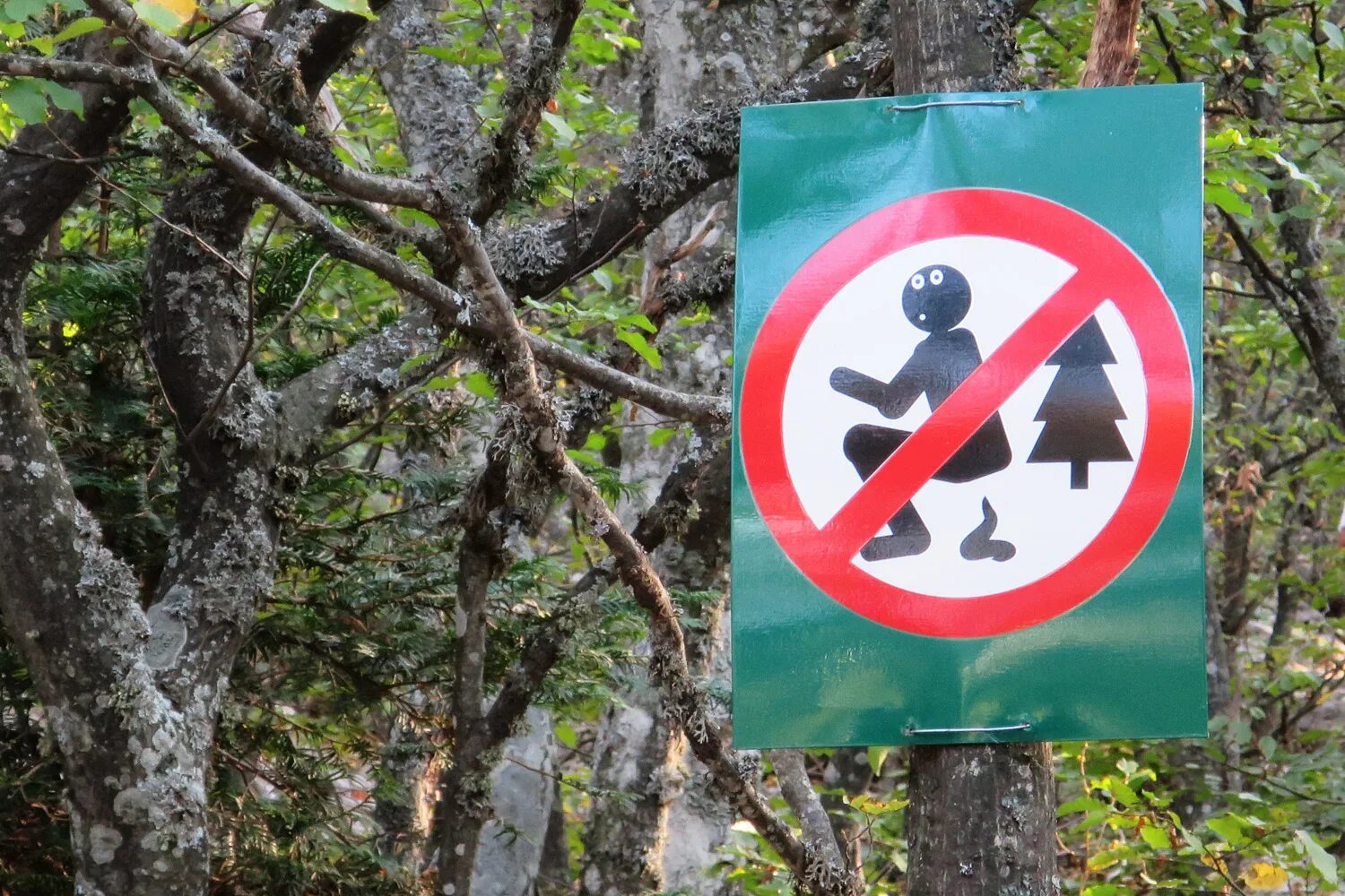 Хорошо в лесу какой знак. Предупреждающие знаки в лесу. Знак заповедника. Запрещающие знаки в лесу. Запрещающие знаки в заповеднике.