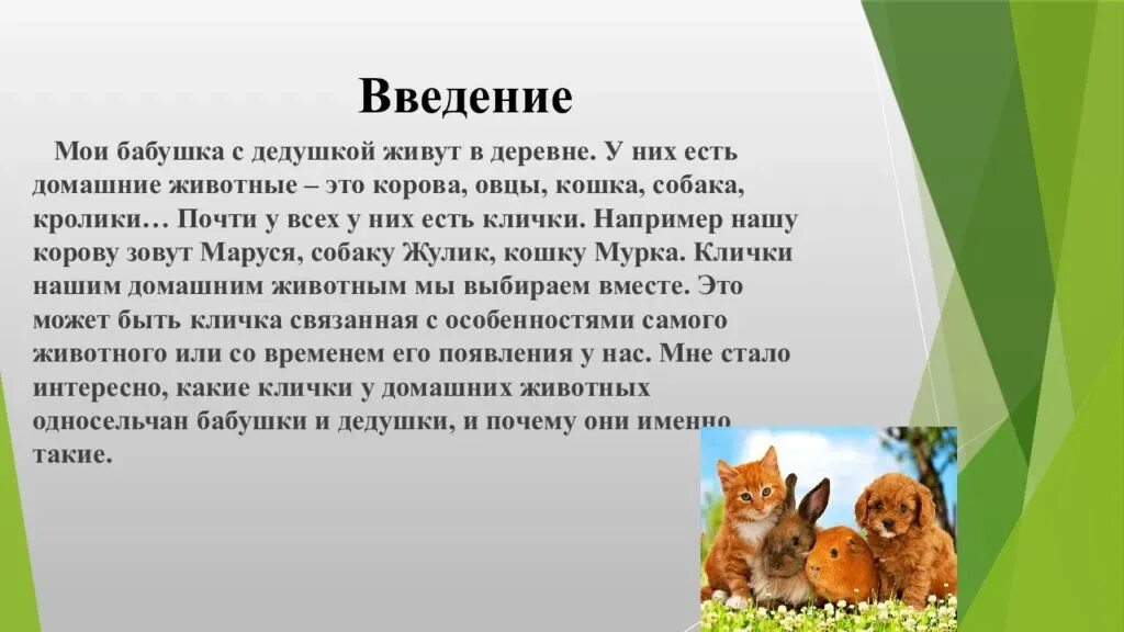 Тайны названий домашних животных. Тайны названий домашних животных проект. Проект на тему тайны названий домашних животных. Тайное название домашних животных.