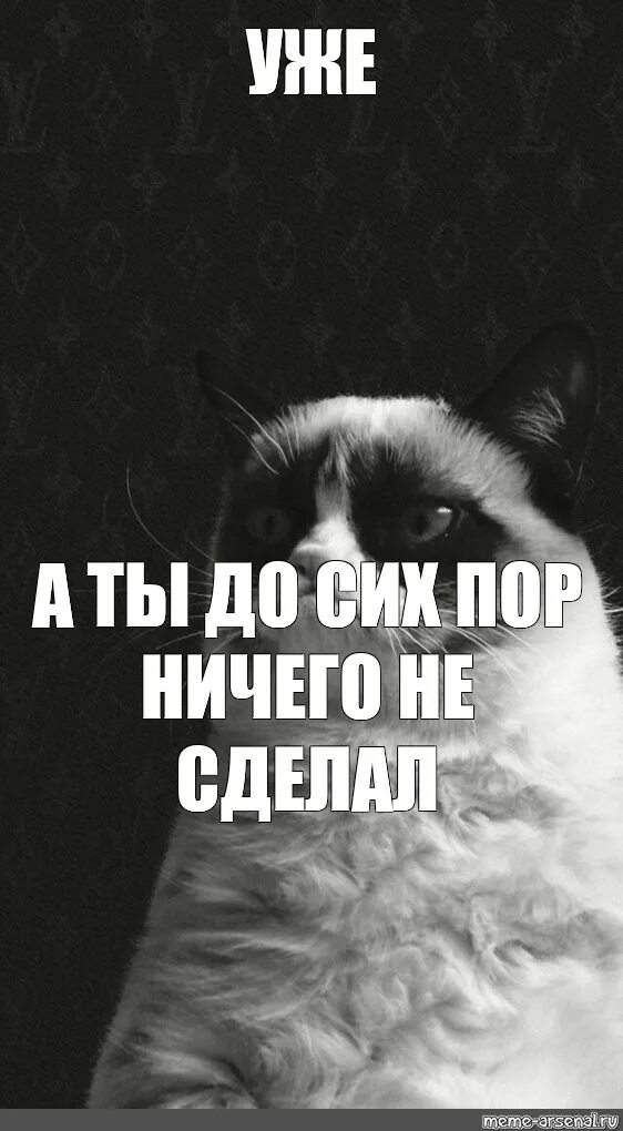 Пор не. Уже а ты до сих пор не вкинулся. Кем хочешь стать когда вырастешь. Мемы на видеоролик. Пор не.