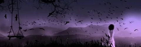 Where dream