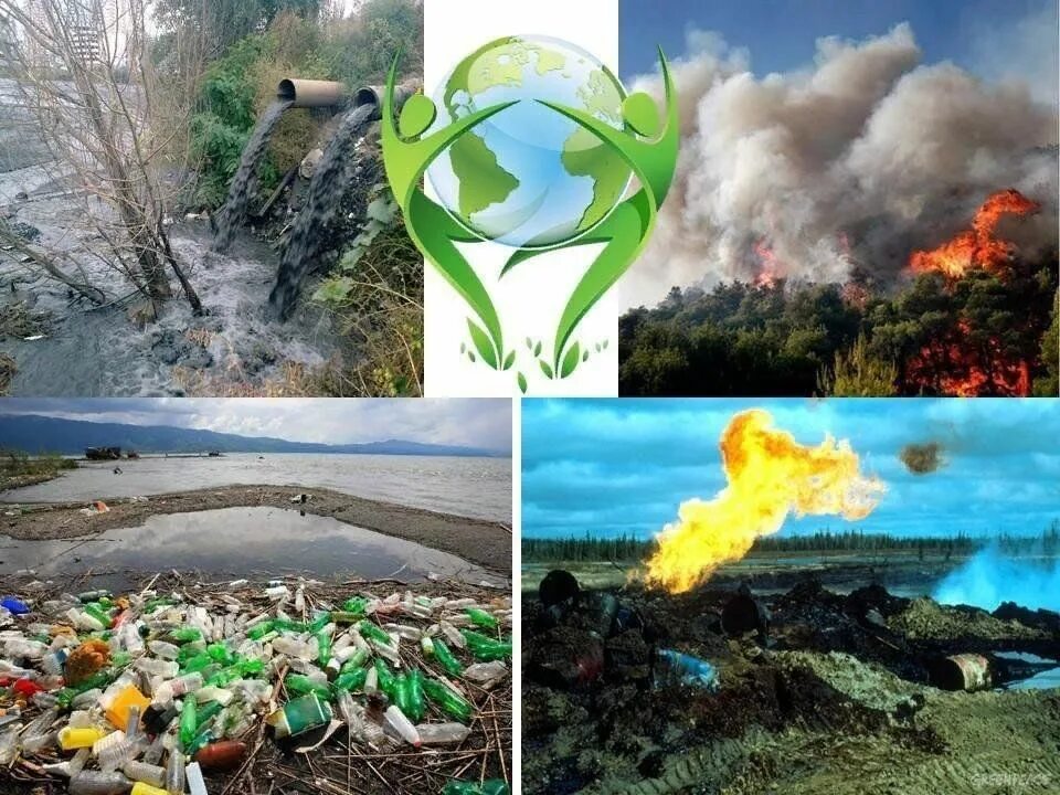 Экология. Экологическое бедствие. Экология катастрофа. Природные экологические катастрофы.
