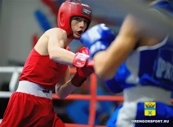 Заслуженный мастер спорта по боксу. Заслуженный мастер спорта по боксу. Змс по боксу. Заслуженный мастер спорта по боксу. Заслуженный мастер спорта по боксу.