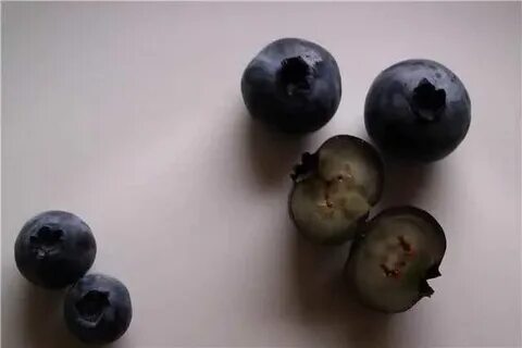 Семена смородины