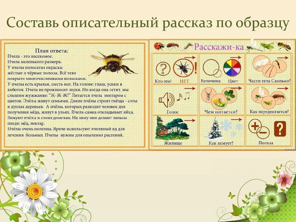 Тема насекомые в средней группе. Насекомые лексическая тема логопед. Насекомые. Мир насекомых для детей. Насекомые для детей подготовительной группы.