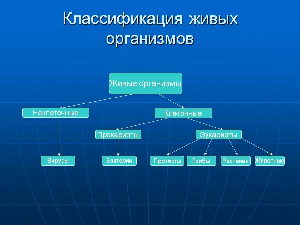 Какие виды организмов