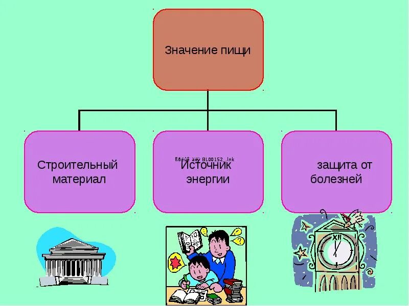 Школа значение для человека. Значение питания. Значение питания в жизни и деятельности людей. Значение питания для человека. Значение еды.