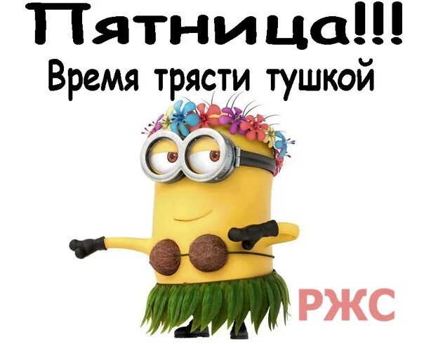 Пятница время программа. Трясти тушкой. пятница пора трясти тушкой. открытки пятница время трясти тушкой. время трясти тушкой.