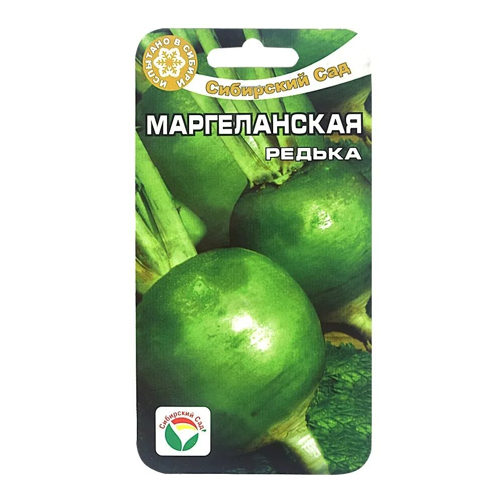 Редька "маргеланская". Маргеланская редька описание. Маргеланская редька описание. Маргеланская редька описание. Маргеланская редька описание.