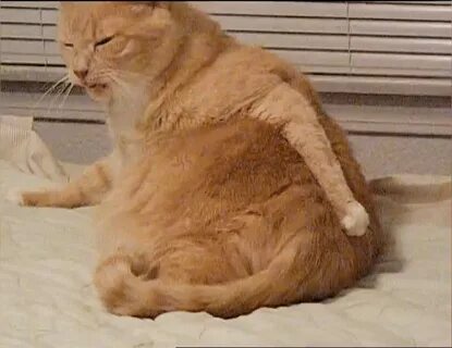 Не чешет