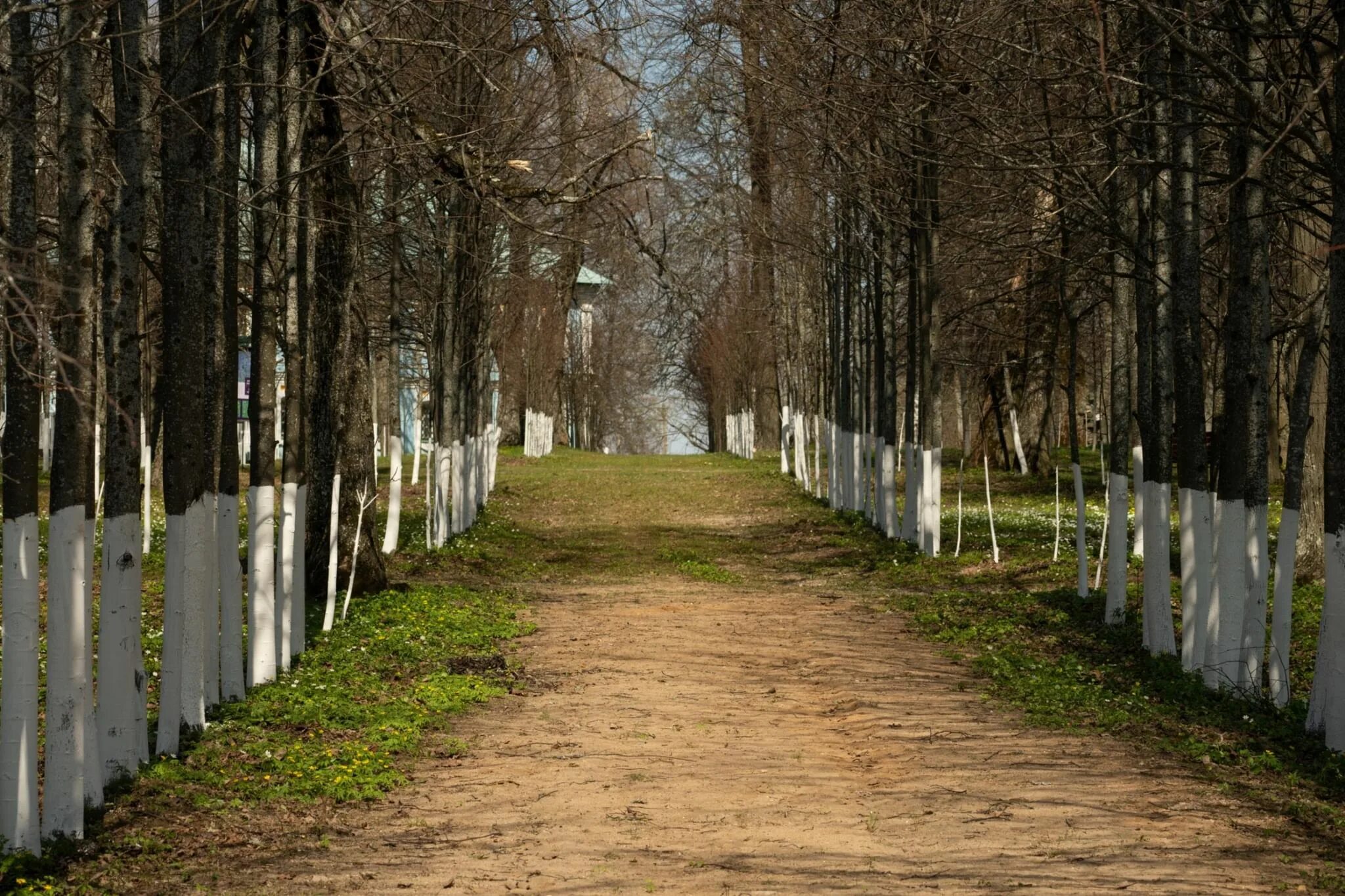 Парк имени Савитской Вязьмы 2023. Парк в Вязьме 2023 г. Лефортовский парк 2023. Ольгинский парк 2023.