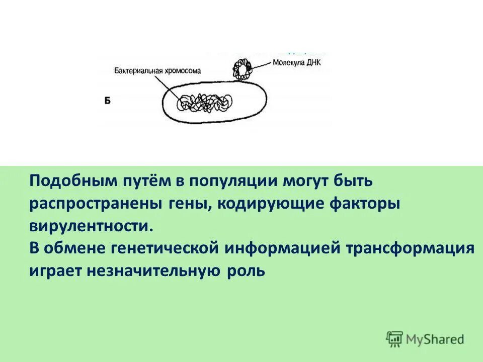 Алгоритм называется циклическим. Внутренний мир человека это. Красивый внутренний мир. Легкий ветер. Во избежание повторения подобных ситуаций.
