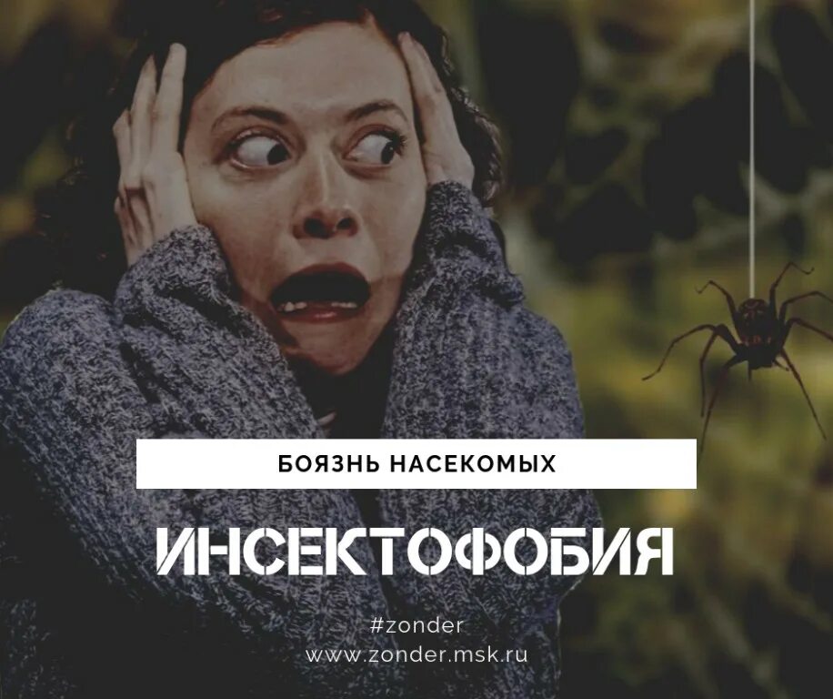 Как называется фобия остаться одному. Боязнь насекомых фобия.