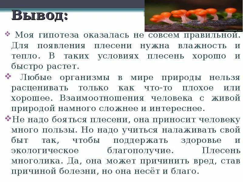 Что для плесени необходимы определенные условия. Известно что для развития плесени необходимы определенные условия. влияние условий на развитие плесени. что необходимо для развития плесени. благоприятные условия для развития плесени.